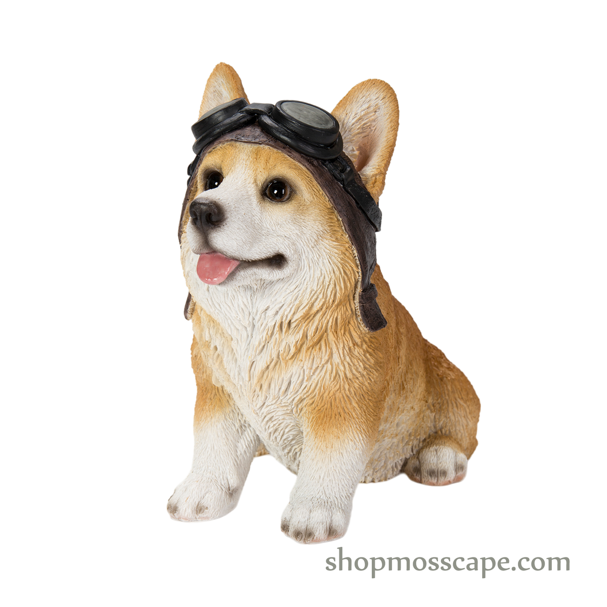 Corgi with Helmet – shopmosscape