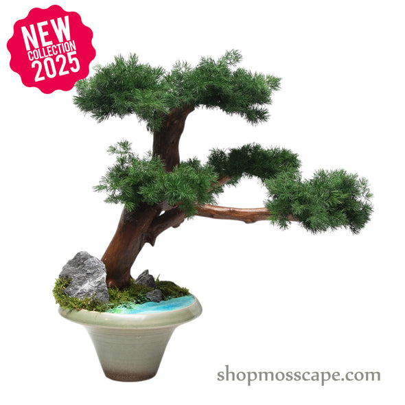 Starlit Tranquility | Bonsai-scape (6801 w/ MF)