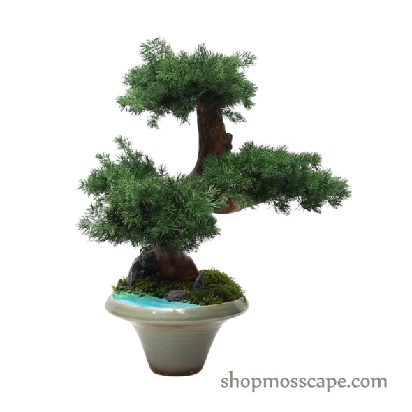 Starlit Tranquility | Bonsai-scape (6801 w/ MF)