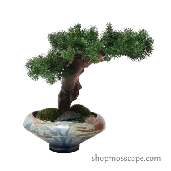 Moonshadow Grove | Bonsai-scape (5806 w/ MF)