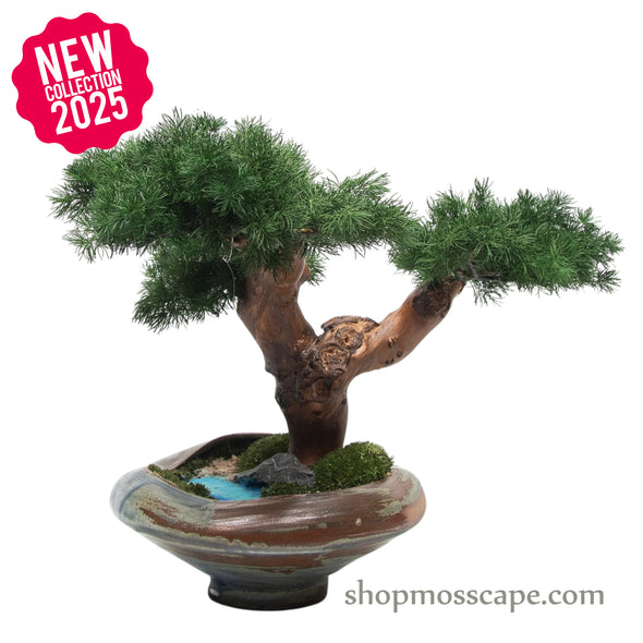 Moonshadow Grove | Bonsai-scape (5806 w/ MF)