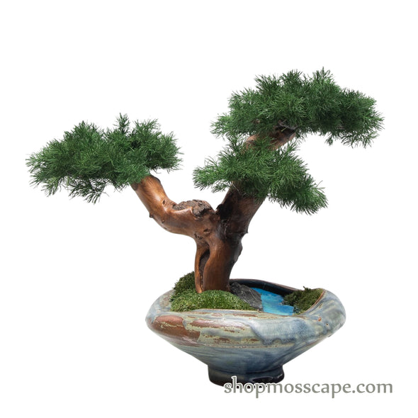 Moonshadow Grove | Bonsai-scape (5806 w/ MF)