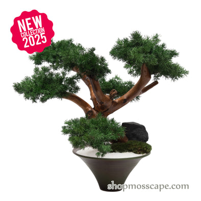 Silent Guardian | Bonsai-scape (6802 w/ MF)