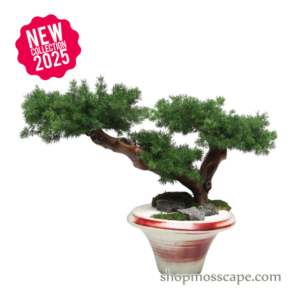 Ember Grace | Bonsai-scape (5802 w/ MF)