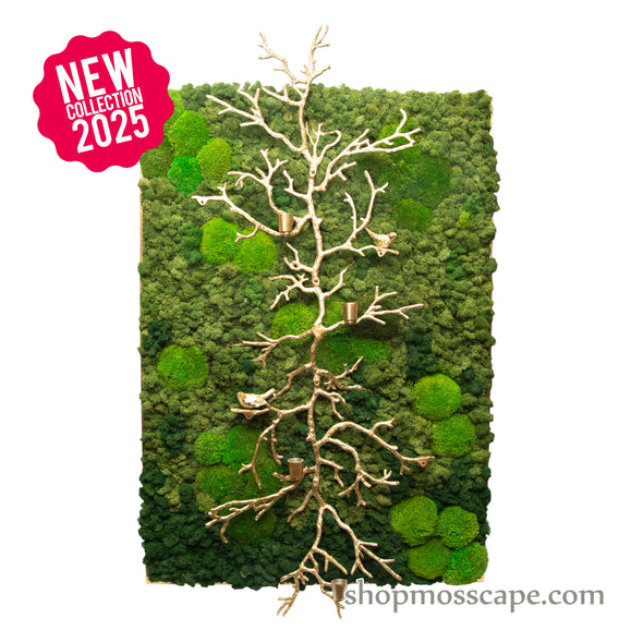Upwards with Resound | Framed Moss Art (054)
