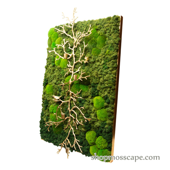 Upwards with Resound | Framed Moss Art (054)