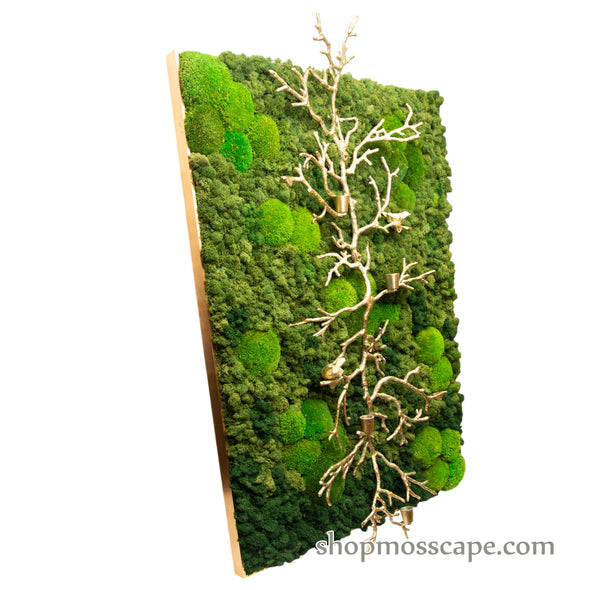 Upwards with Resound | Framed Moss Art (054)