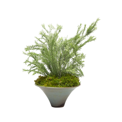 Preserved Tea Tree | Preserved Plants (1283 w/ TT)