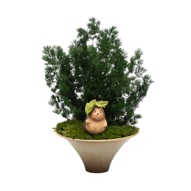 Preserved Ming Fern | Preserved Plants (1881 w/ MGF)