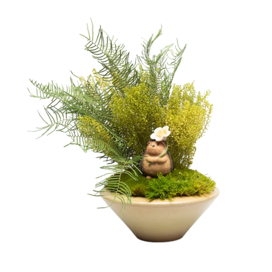 Preserved Sea Star Fern & Petty Coat | Preserved Plants (1881 w/ SSFPC)