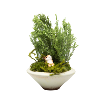 Preserved Tea Tree | Preserved Plants (1681 w/ TT)