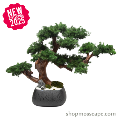 Stone‑River Canopy | Bonsai-scape (7805 w/ MF)