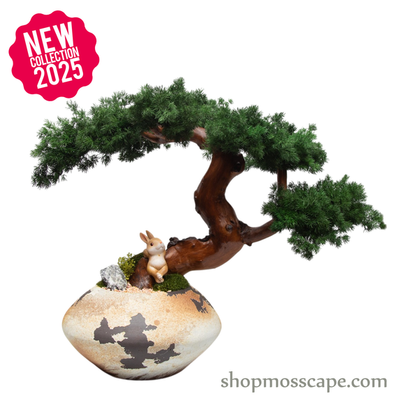 Bunny's Forest Daydream | Bonsai-scape (8805 w/ MF)