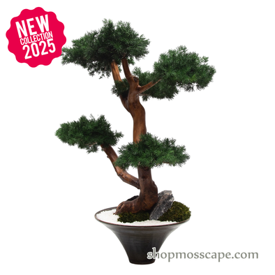 Steps of the Silent Peak | Bonsai-scape (6803 w/ MF)