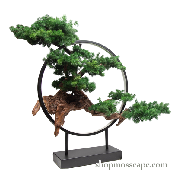 Harmony in the Void | Bonsai-scape (13801 w/ MF)