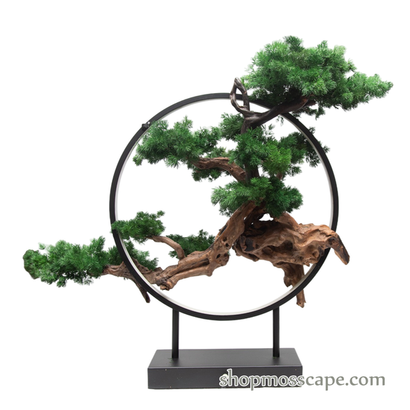 Harmony in the Void | Bonsai-scape (13801 w/ MF)