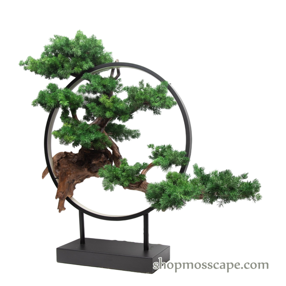 Harmony in the Void | Bonsai-scape (13801 w/ MF)