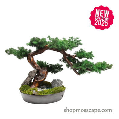 Twilight Ridge | Bonsai-scape (9802 w/ MF)