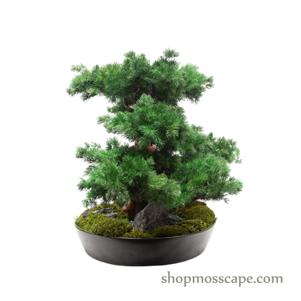 Twilight Ridge | Bonsai-scape (9802 w/ MF)