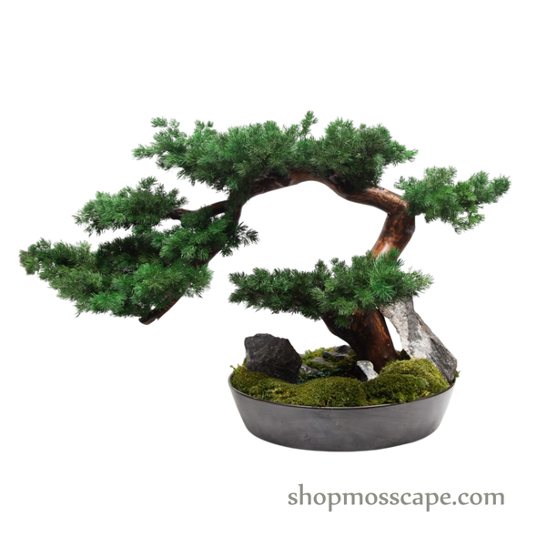 Twilight Ridge | Bonsai-scape (9802 w/ MF)