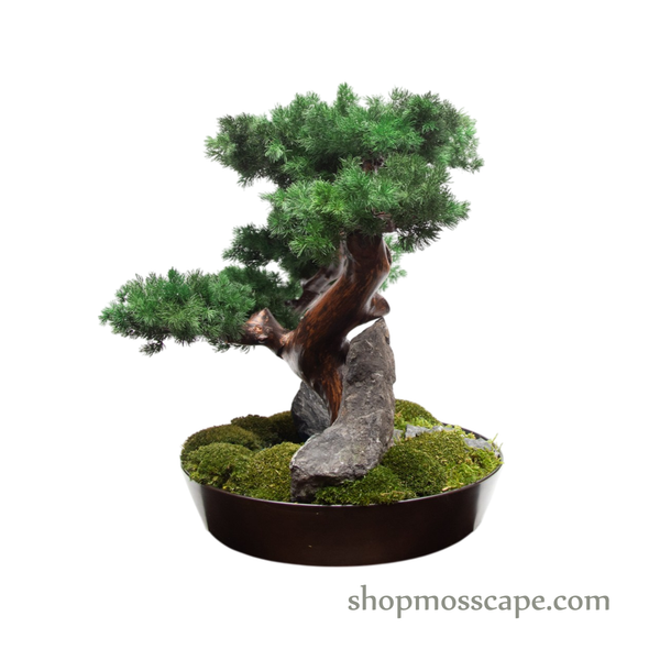 Twilight Ridge | Bonsai-scape (9802 w/ MF)