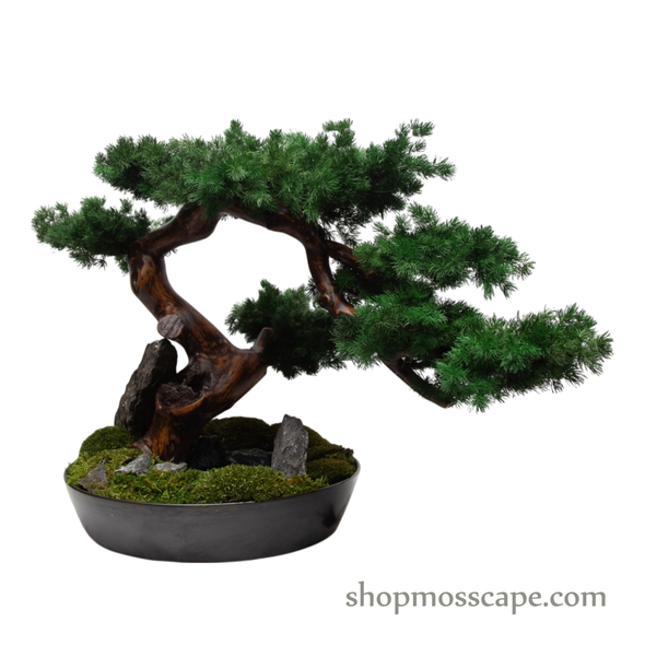 Twilight Ridge | Bonsai-scape (9802 w/ MF)
