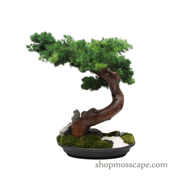 Zen Cascade Bonsai in Tranquility Garden Base | Bonsai-scape (7807 w/ MF)