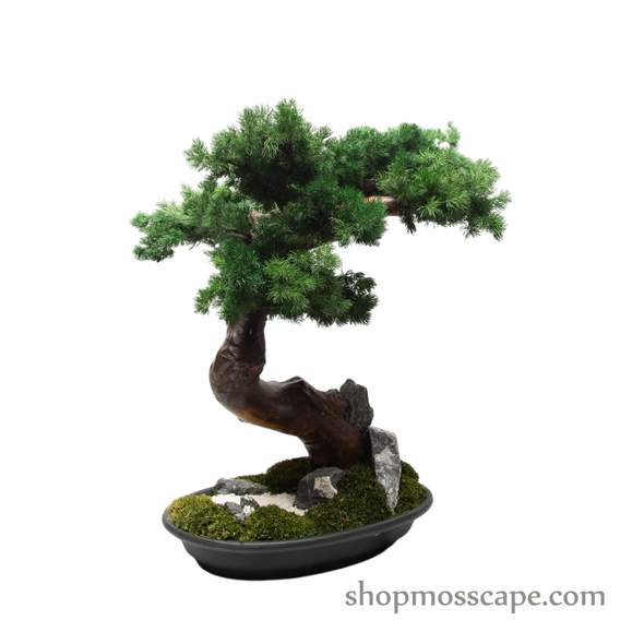 Zen Cascade Bonsai in Tranquility Garden Base | Bonsai-scape (7807 w/ MF)
