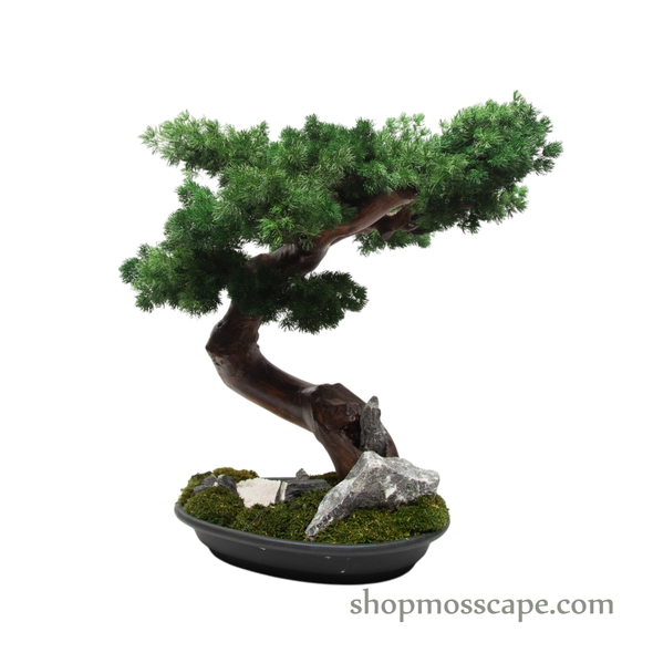 Zen Cascade Bonsai in Tranquility Garden Base | Bonsai-scape (7807 w/ MF)