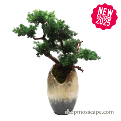Serenity Curve Bonsai in Earth-Glazed Vase | Bonsai-scape (8806 w/ MF)