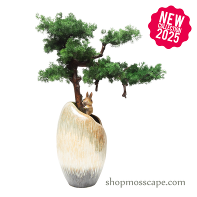 Bunny Embrace Bonsai | Bonsai-scape (8807 w/ MF)
