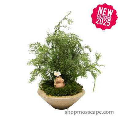 Preserved Tea Tree with Hedgedog | Preserved Plants (1285 w/ TT)