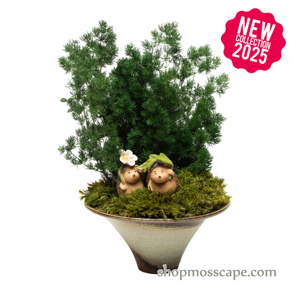 Preserved Ming Fern with Couple Hedgedogs | Preserved Plants (1883 w/ MGF)