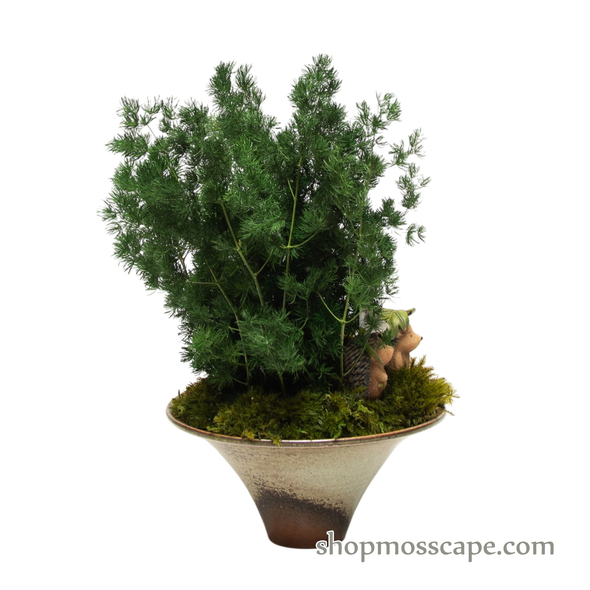 Preserved Ming Fern with Couple Hedgedogs | Preserved Plants (1883 w/ MGF)