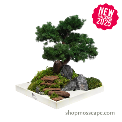Whispers of the Mountain Path | Bonsai-scape (7808 w/ MF)