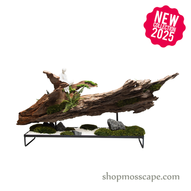 Stillness on the Drift | Bonsai-scape (7809 w/ MF)
