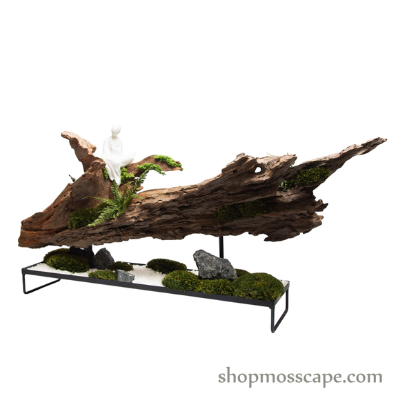 Stillness on the Drift | Bonsai-scape (7809 w/ MF)