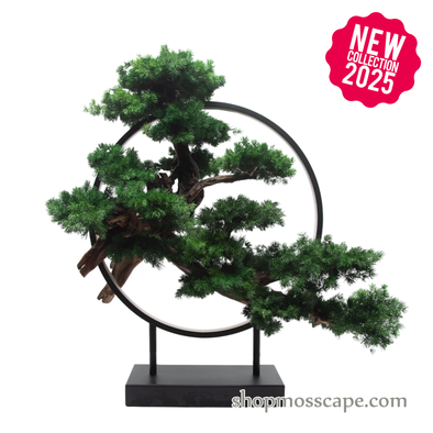 Eclipse Serenity | Bonsai-scape (13802 w/ MF)