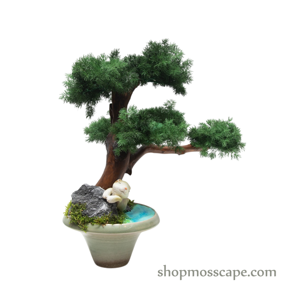 The Restful Rabbit Bonsai | BS (6801 w/ MF)