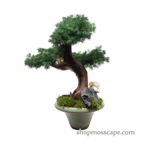 The Restful Rabbit Bonsai | BS (6801 w/ MF)