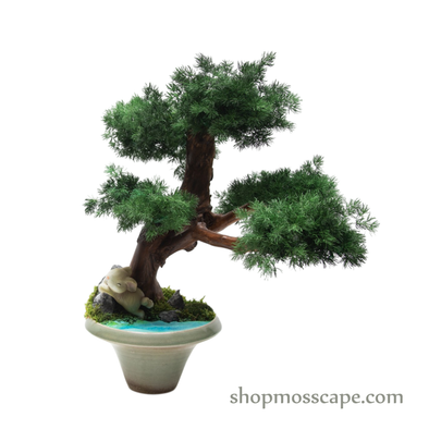 The Restful Rabbit Bonsai | BS (6801 w/ MF)