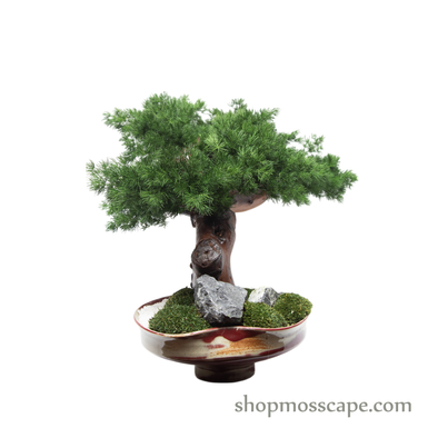 Rooted Flame | BS (58018 w/ MF)
