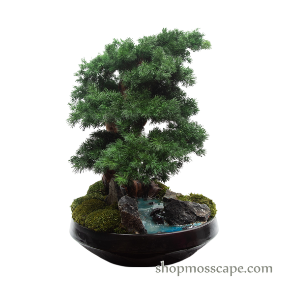 Echoes of the Mountain Spring | BS (10802 w/ MF)