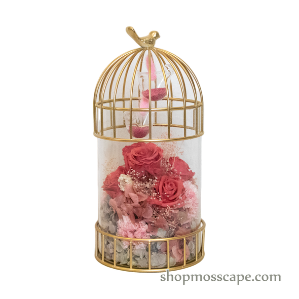 Preserved Roses & Birds in Paradise