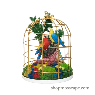Couple Parrot in Paradise