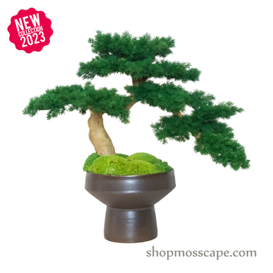 Bonsai-scape (4-082 w/ MF)