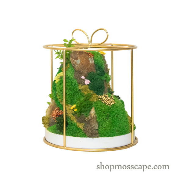 Bonsaiscape with Hedgehogs in Round Ribbon Cage (L)