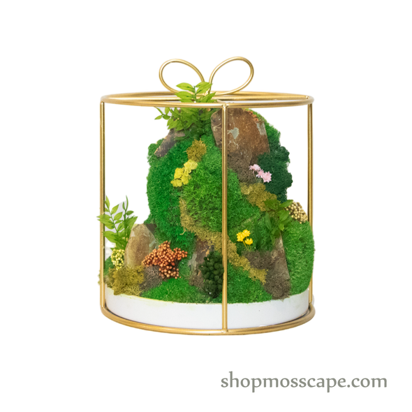 Bonsaiscape with Hedgehogs in Round Ribbon Cage (L)