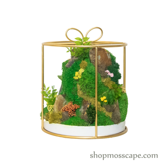Bonsaiscape with Hedgehogs in Round Ribbon Cage (L)
