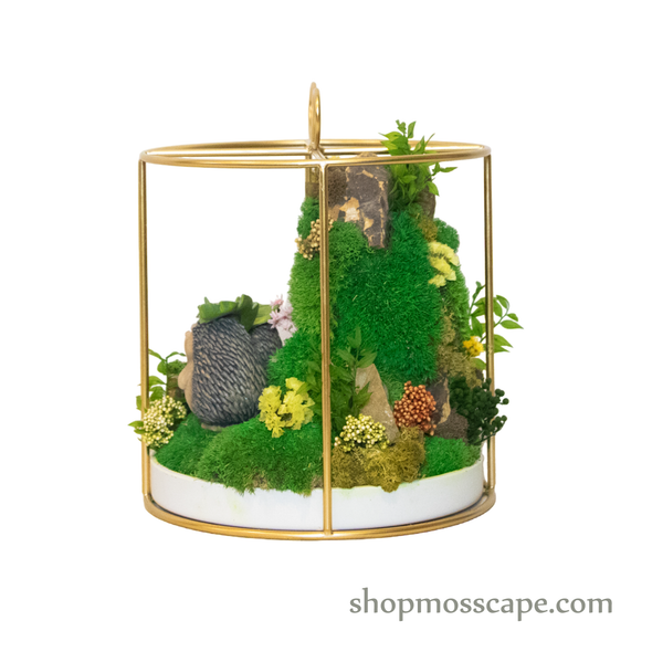 Bonsaiscape with Hedgehogs in Round Ribbon Cage (L)